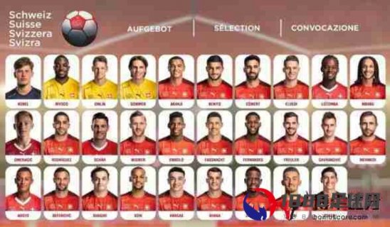 瑞士足球队欧洲杯大名单：奥姆林，科贝尔在内